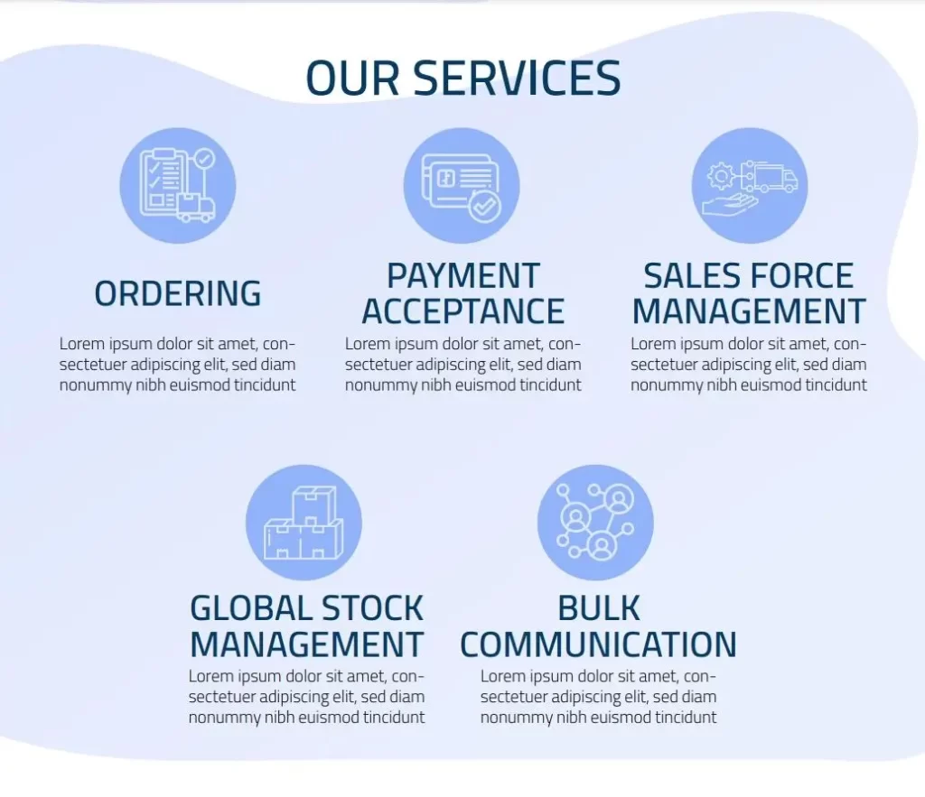 1. Services offered: consulting, training, software development, and support.
